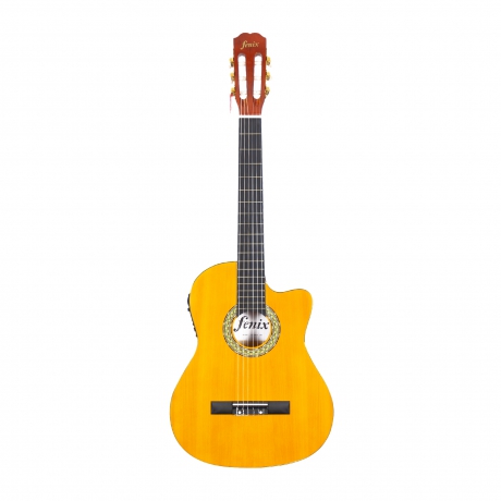 Fenix guitar for sale cheap